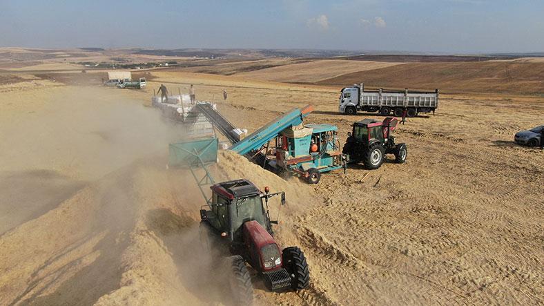 12 saat çalışıp günlük 3 bin liraya saman presliyorlar 1 12 saat calisip gunluk 3 bin liraya saman presliyorlar 65yJBOef