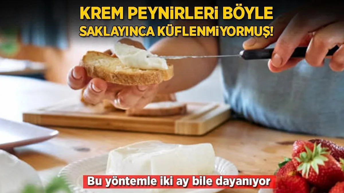 acilen kuflenen krem peynirlere son kivami asla bozulmuyor tam 2 ay dayaniyor PfAxmpri jpg