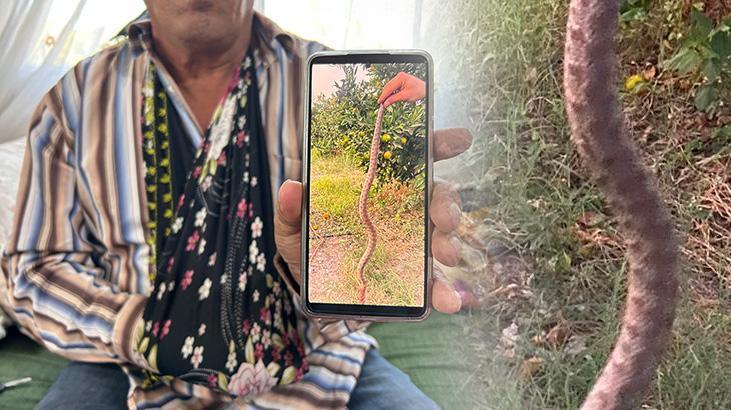 engerek isirdi eli bu hale geldi mermi sikilmis uzereydi 4E37HDGV