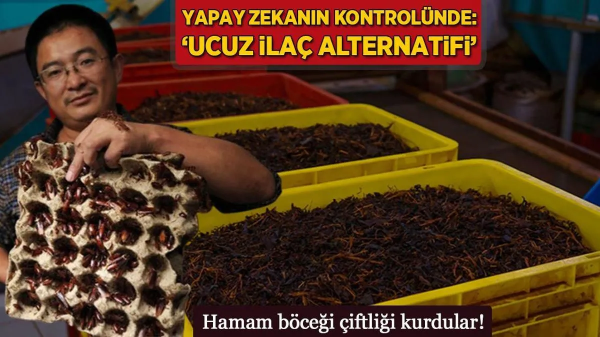 hamam bocegi ciftligi kurdular yapay zek nin denetiminde ucuz ilac alternatifi ZcqxGJak jpg