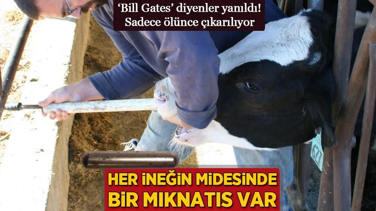 her inegin midesinde bir miknatis var bill gates diyenler yanildi olunce cikariliyor 6OrvZOx8 jpg