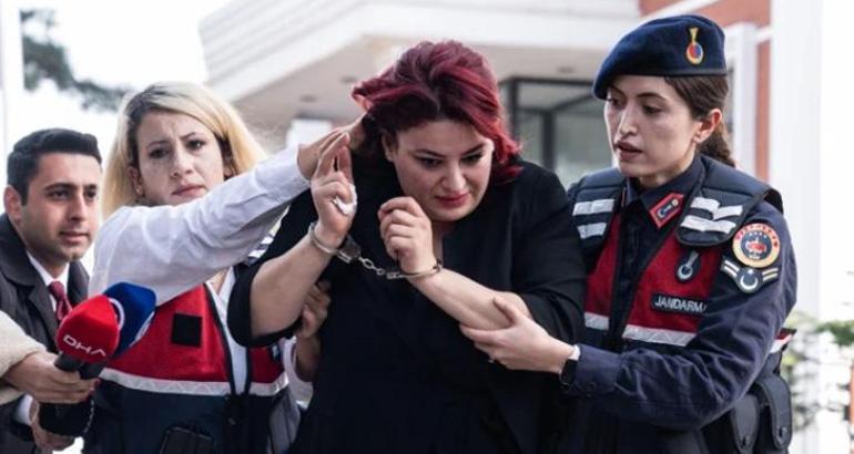İşte 'Yenidoğan çetesi' soruşturmasında adım adım kronolojik sıralama 3 iste yenidogan cetesi sorusturmasinda adim adim kronolojik siralama 1 RKW3FfWj