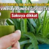 meskende yetistirilirse tum havayi yeniliyor icindeki jel sifaymis guzel gelmedigi sey yok gNNLtxUS