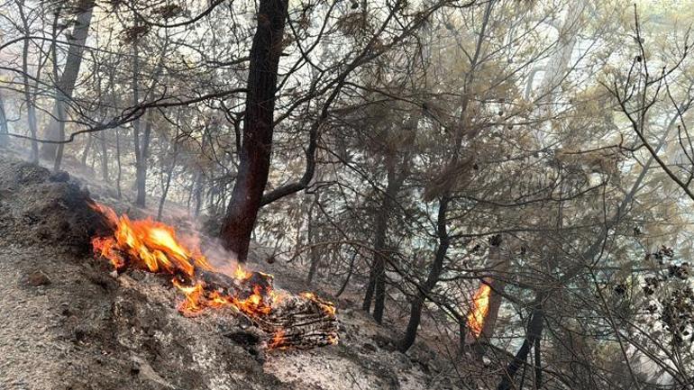 Muğla yanıyor! 3 bölgede alevlerle çabada 12 saat geride kaldı 3 mugla yaniyor 3 bolgede alevlerle cabada 12 saat geride kaldi 1 vLCFSAEh