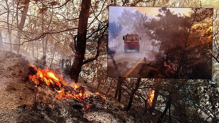 Muğla yanıyor! 3 bölgede alevlerle çabada 12 saat geride kaldı 1 mugla yaniyor 3 bolgede alevlerle cabada 12 saat geride kaldi YNmPTwhd