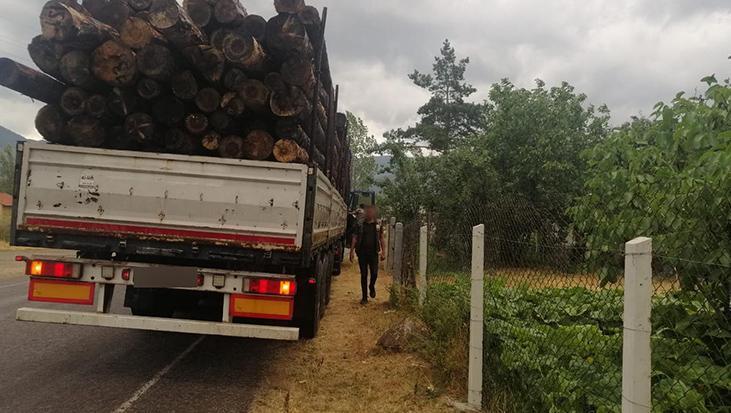 ormanda bin agac kesildi iddiasi ikili sorusturma baslatildi Od8SYSDP