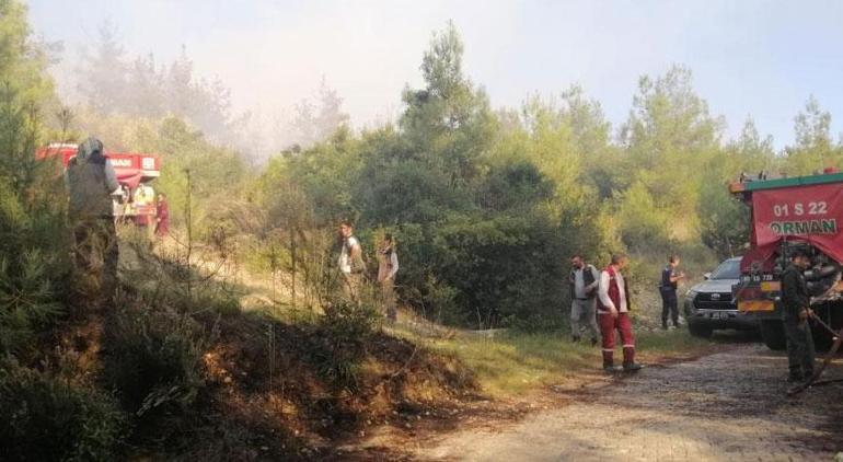 Peş peşe orman yangınları! Gruplar müdahale ediyor 2 pes pese orman yanginlari gruplar mudahale ediyor 0 3HdiJjUV