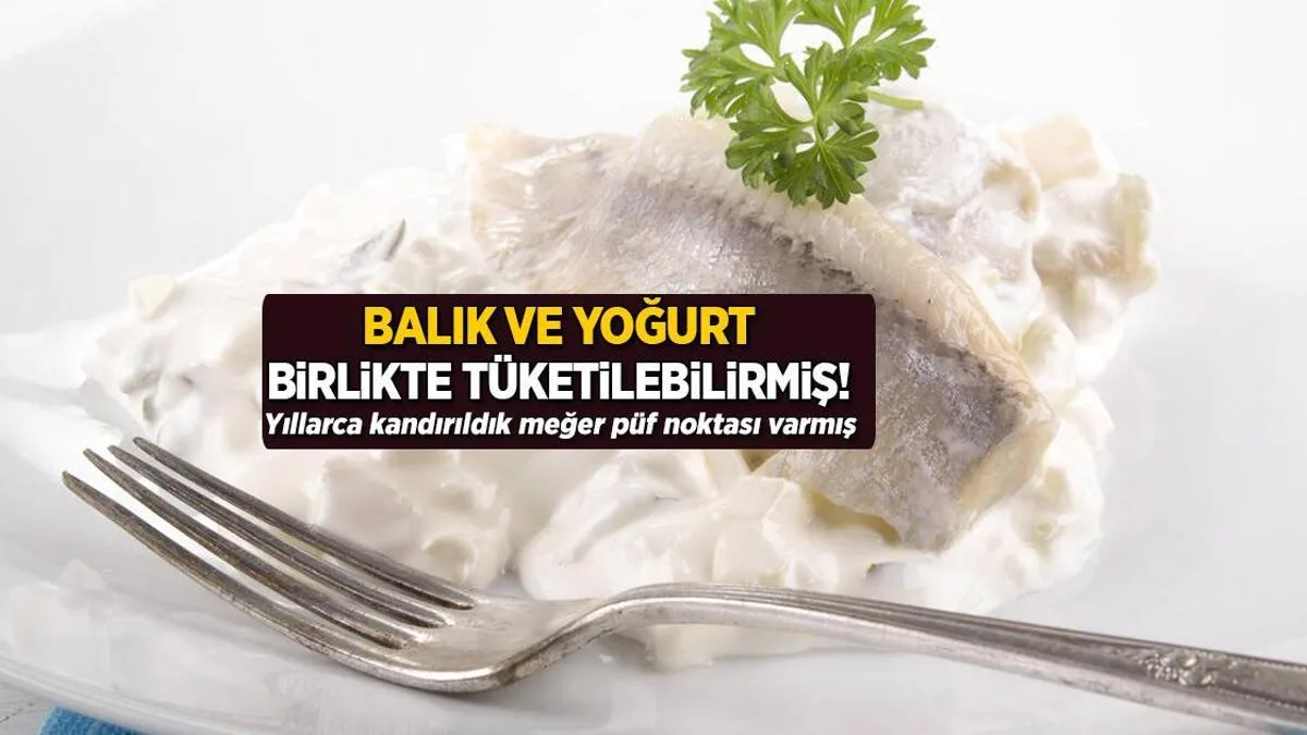 balik ile yogurt yersek zehirler mi yillarca kandirildik megerse puf noktasi varmis GnB3JAI3 jpg