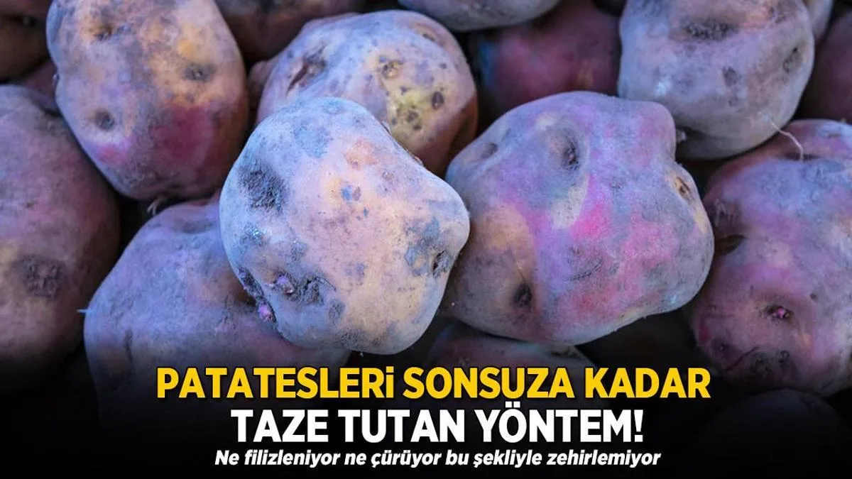 patatesleri sonsuza kadar taze tutan yontem ne filizleniyor ne curuyor bu bicimiyle zehirlemiyor SsgMscTR jpg