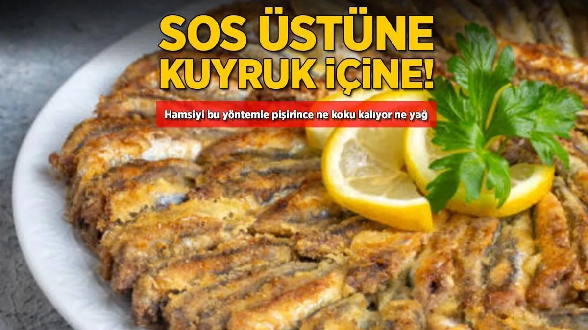 sos ustune kuyruk icine hamsiyi bu formulle pisirince ne koku kaliyor ne yag mMgrMG8s