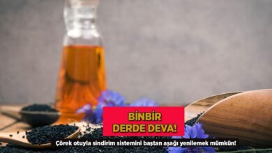 binbir derde deva corek otuyla sindirim sistemini bastan asagi yenilemek mumkun TuKdkywS