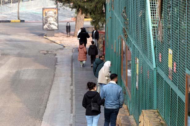 Türkiye'nin en büyük hayvanat bahçesine ziyaretçi rekoru! 5 milyon 150 bin kişi ziyaret etti 4 turkiyenin en buyuk hayvanat bahcesine ziyaretci rekoru 5 milyon 150 bin kisi ziyaret RUmepAA3