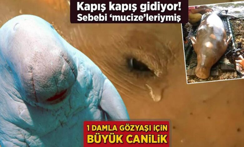 1 damla gozyasi icin buyuk canilik kapis kapis gidiyor sebebi mucizeleriymis wXlIY5mr