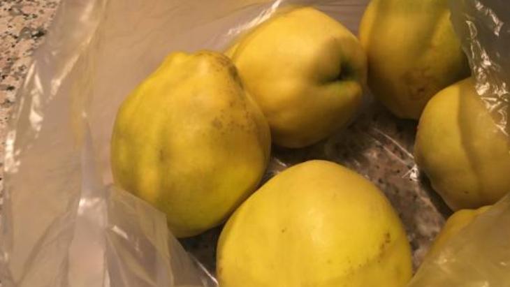 Ayvayı hep yanlış yemişiz! Tahta kaşık, tuz ve limonla boğazdan akıp gidiyor 4 ayvayi hep yanlis yemisiz tahta kasik tuz ve limonla bogazdan akip gidiyor 2 WWSwjVZ2