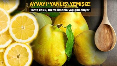 ayvayi hep yanlis yemisiz tahta kasik tuz ve limonla bogazdan akip gidiyor y4s9ZaRz