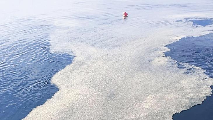 Bakırköy ve Yeşilköy açıklarında görüldü! Marmara’da müsilaj alarmı 1 bakirkoy ve yesilkoy aciklarinda goruldu marmarada musilaj alarmi