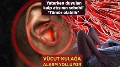 beden kulaga alarm yolluyor yatarken duyulan kalp atisinin sebebi tumor olabilir j29dV8al