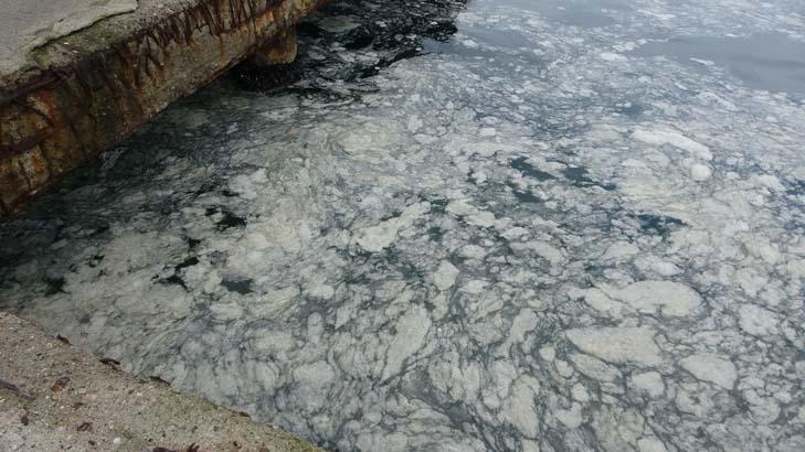 canakkale bogazini kaplamaya basladi telas buyuyor 4 8t43AGrW