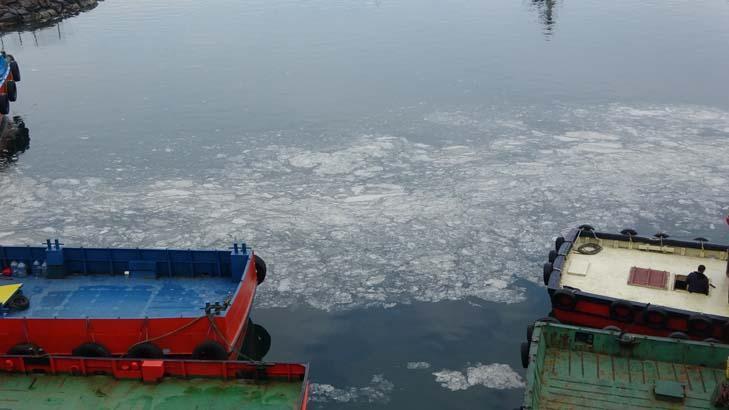 canakkale bogazini kaplamaya basladi telas buyuyor 8 SyTTG1cK