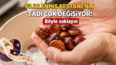 filizlenmis kestanenin tadi degisiyor once kontrol sart 15 dakika haslamak yetiyor MnymjiB2