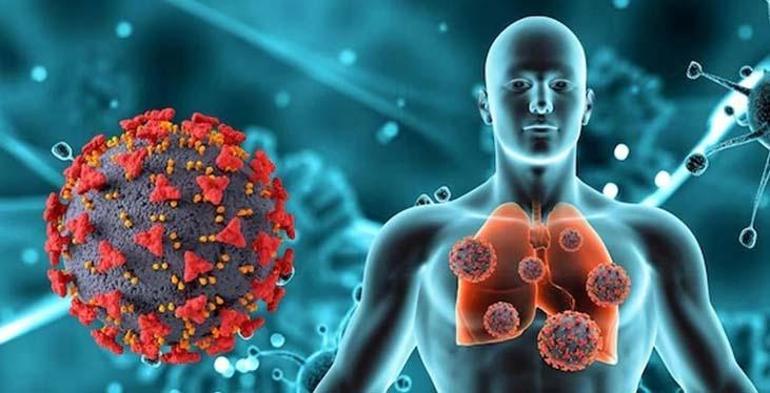 hmpv turkiyede goruldu mu yeni virus salginiyla ilgili aciklama geldi 2 1DgbIqRp