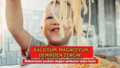 kalsiyum magnezyum demirden zengin makarnanin protein bedeli pirincten daha fazla XmS1UAuV