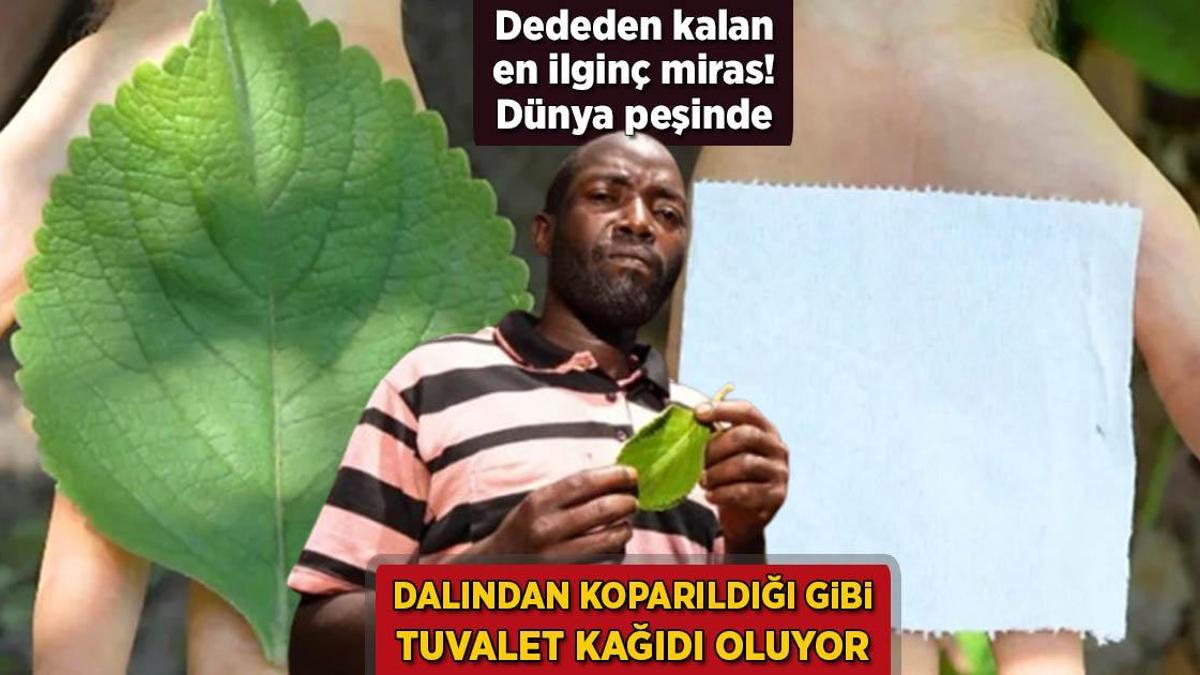 Kısmından koparıldığı üzere tuvalet kağıdı oluyor! Dededen kalan farklı miras, dünya peşinde