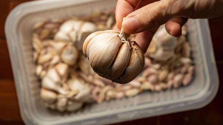 patates sogan ve sarimsaktan buzdolabina siziyor zehri sifirlamak icin 2 saat kaide 2 bqQ6qYy9