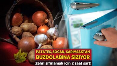 patates sogan ve sarimsaktan buzdolabina siziyor zehri sifirlamak icin 2 saat kaide FbnzuSTP