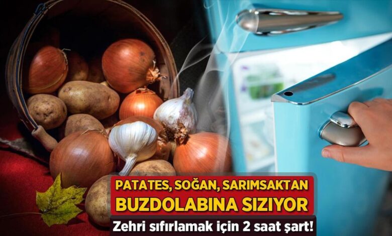 patates sogan ve sarimsaktan buzdolabina siziyor zehri sifirlamak icin 2 saat kaide FbnzuSTP