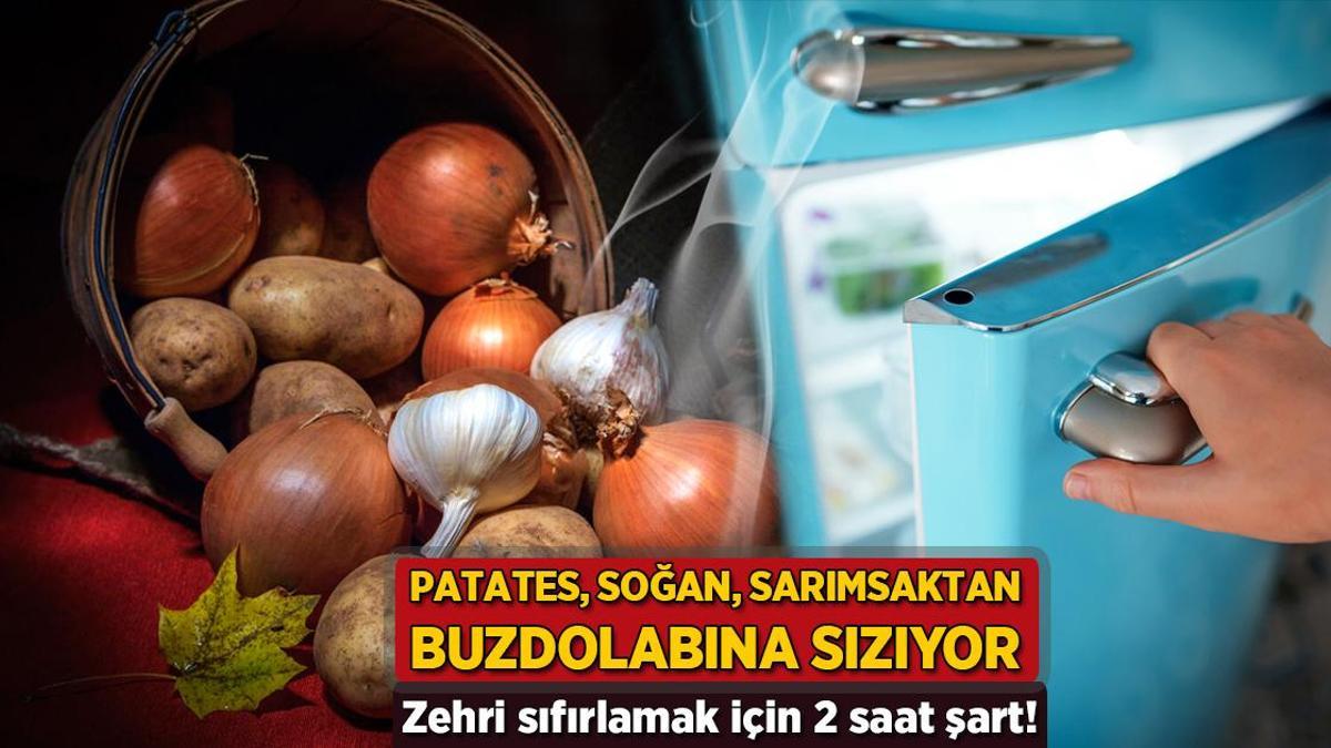 Patates, soğan ve sarımsaktan buzdolabına sızıyor! Zehri sıfırlamak için 2 saat kaide