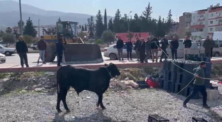 angus firarda hatay sokaklarini birbirine katti bir kisiyi yaraladi 0 qPEiENO3