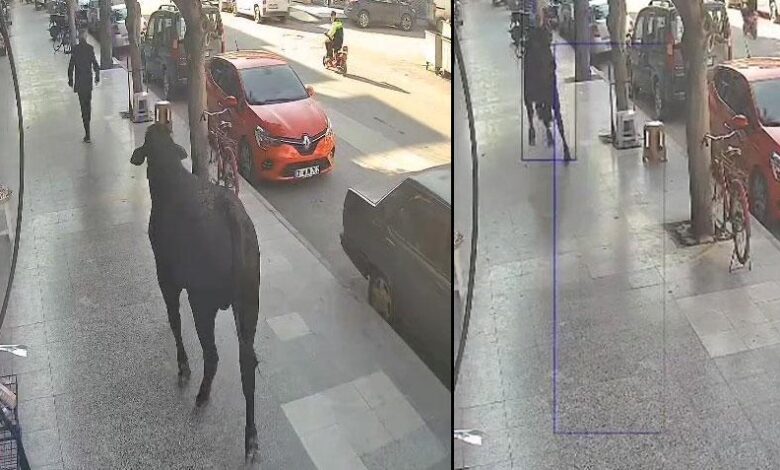 angus firarda hatay sokaklarini birbirine katti bir kisiyi yaraladi yhTqhHtN