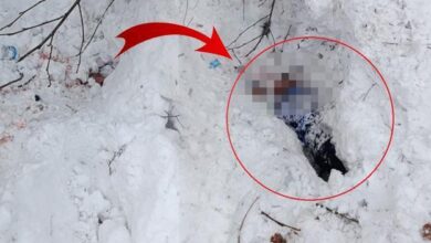 kaza yapti gomuldugu kardan bu turlu cikarildi mucize kurtulus PvfUFDcX