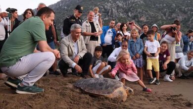 500 bin kisinin gelmesi bekleniyor tatilcilere caretta caretta uyarisi beslemeyin BGllBEa1