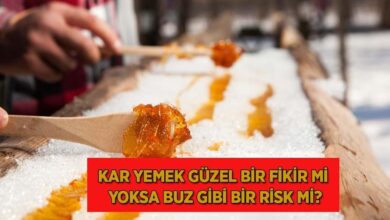 kar yemek hos bir fikir mi yoksa buz uzere bir risk mi Hk8jyV4u