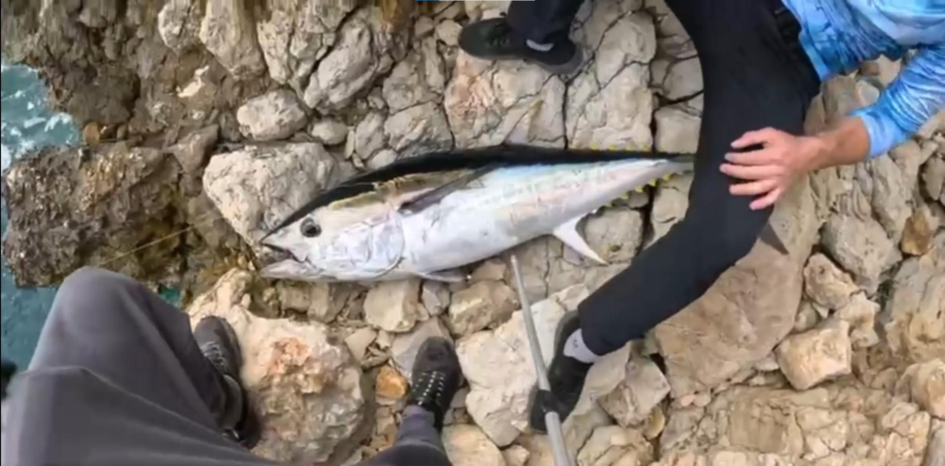 Oltaya takıldı, gözlerine inanamadı: Bu balığı beklemiyordum 7 oltaya takildi gozlerine inanamadi bu baligi beklemiyordum 5 qlCYmIa3