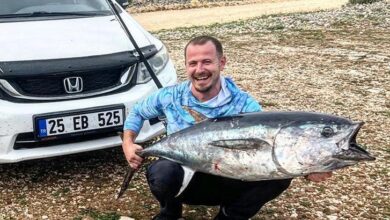 oltaya takildi gozlerine inanamadi bu baligi beklemiyordum n6n1uXNk