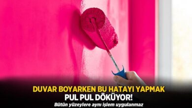 pul pul soyulan duvara son boya ne dokulecek ne kabaracak silmek k fi Bb4r8Dl5