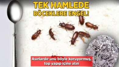 unu bocekten korumak cok kolay yuvarlayip icine atin asirlik formulmus zIw85l3m