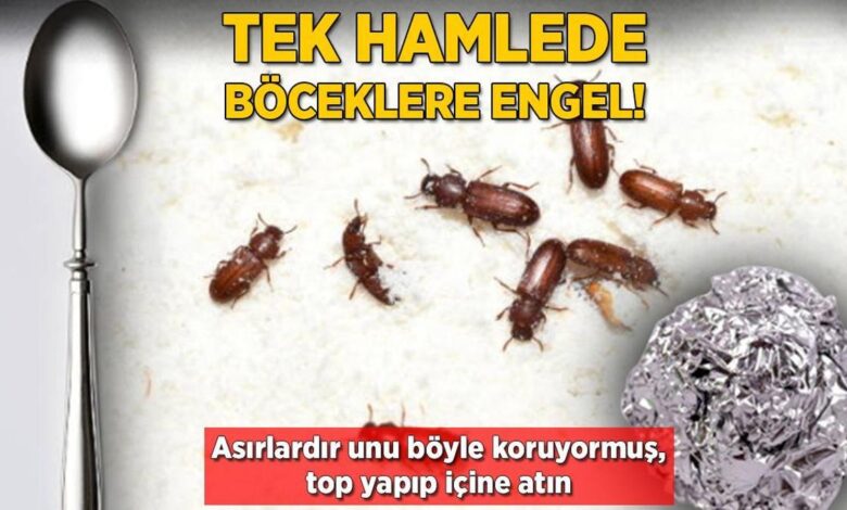 Unu böcekten korumak çok kolay! Yuvarlayıp içine atın, asırlık formülmüş 1 unu bocekten korumak cok kolay yuvarlayip icine atin asirlik formulmus zIw85l3m