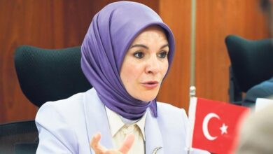 4 milyon haneye elektrik takviyesi qBjOZ7IB