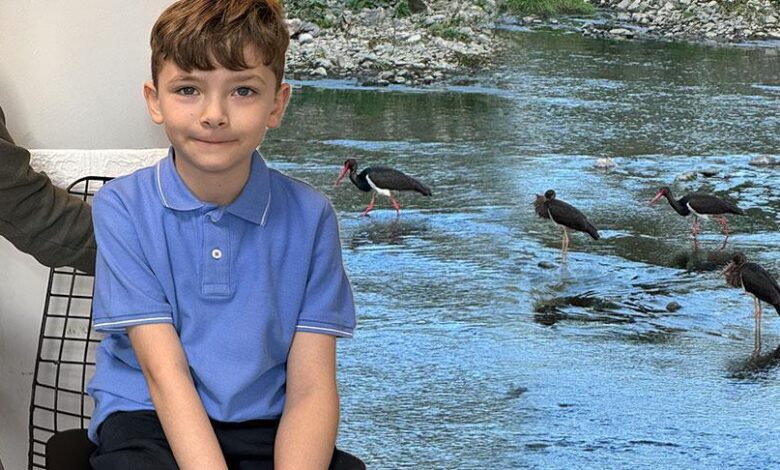 7 yaşındaki Çınar fark etti! Türkiye'de çok az görülüyor 1 7 yasindaki cinar fark etti turkiyede cok az goruluyor XSp8TiKj