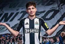 amator ligden premier lige transfer olan birinci turk lprSlarD