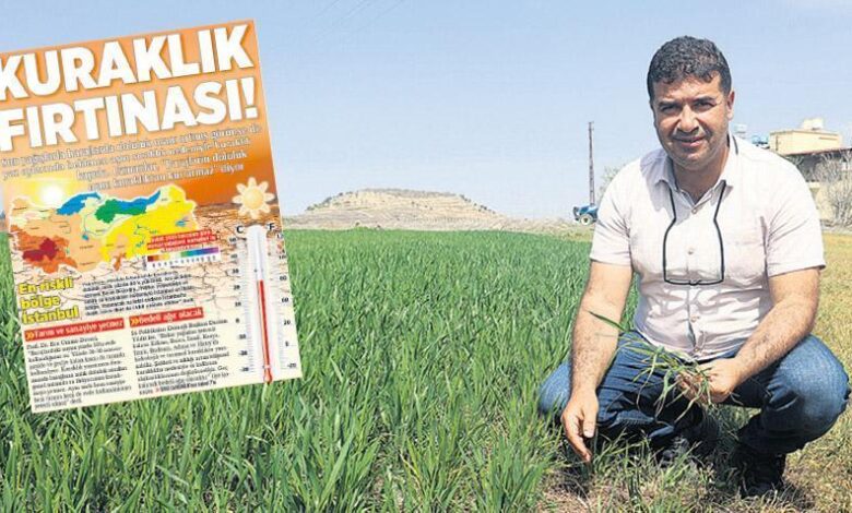 ‘Amik’te randıman düşecek 1 amikte randiman dusecek plM6YEgs