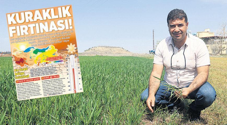 ‘Amik’te randıman düşecek