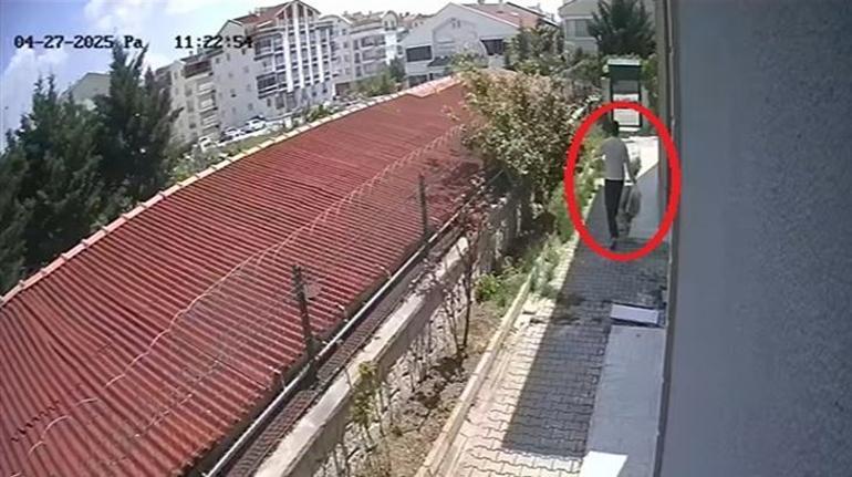 Ankara'da vahşet! Köpekleri konutta parçalayıp, öldürdüğü argüman edilen doktor tutuklandı 2 ankarada vahset kopekleri konutta parcalayip oldurdugu arguman edilen doktor tutuklandi 0