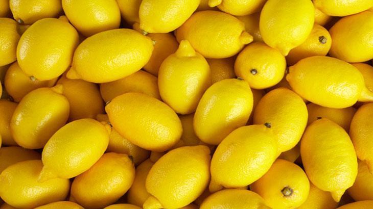 Bakan Bolat açıkladı: Limon ihracatındaki kısıtlama kaldırıldı 1 bakan bolat acikladi limon ihracatindaki kisitlama kaldirildi CXC95cZQ