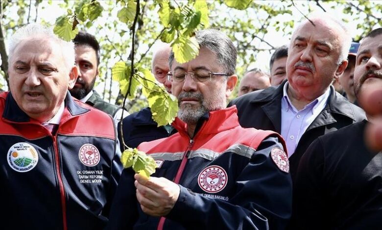 Bakan Yumaklı, zirai dondan etkilenen 16 meyve tipi için takviye verileceğini bildirdi 1 bakan yumakli zirai dondan etkilenen 16 meyve tipi icin takviye verilecegini bildirdi Tz2DpFMr