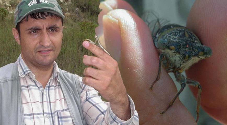 Bilimde romantik dokunuş! Keşfettiği böceğe eşinin ismini verdi